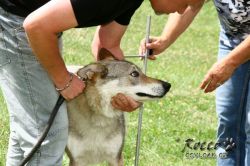 IMG_2263.jpg