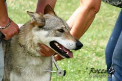 IMG_2267.jpg