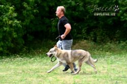 IMG_2279.jpg