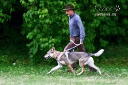IMG_2298.jpg