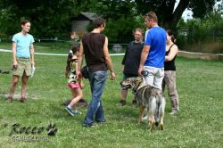 IMG_2336.jpg