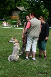 IMG_2345.jpg