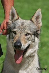 yunior04.jpg