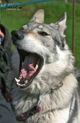amy02.jpg