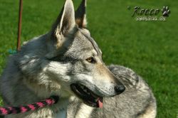 amy04.jpg