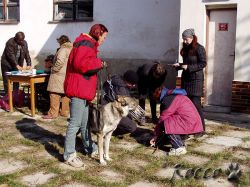 P1010056.jpg