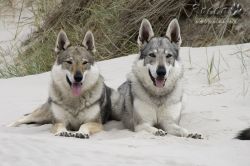 plaz28.jpg
