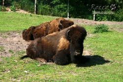 zoo01.jpg