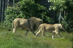zoo07.jpg