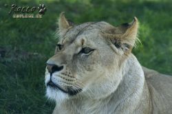 zoo09.jpg