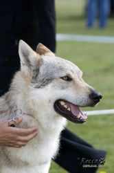 specialka10.jpg