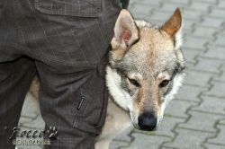 IMG_1782.jpg