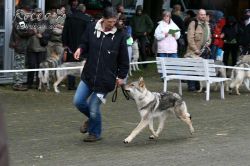 IMG_1791.jpg
