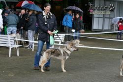 IMG_1805.jpg