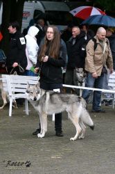 IMG_1806.jpg