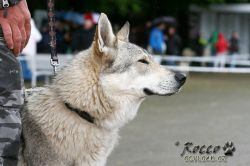 IMG_1836.jpg