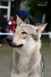 IMG_1839.jpg