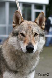 IMG_1851.jpg