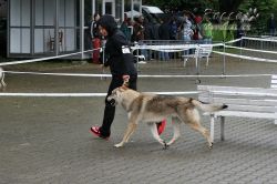IMG_1853.jpg