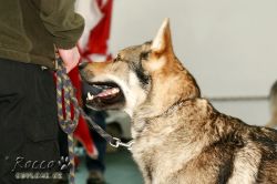 IMG_1865.jpg