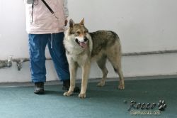 IMG_1874.jpg