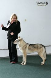 IMG_1897.jpg