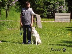 05_brave_wolf_z_holstejna.jpg