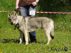 10_garm01.jpg