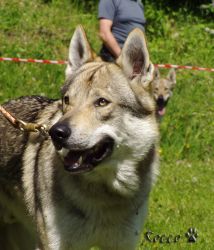 18_runar01.jpg