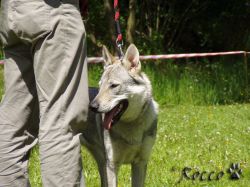36_corina_sotis.jpg