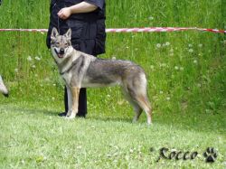 39_adane01.jpg