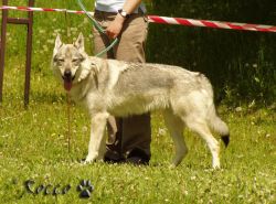 46_birsha_osada_draklem.jpg