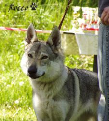 50_heta01.jpg