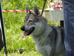 50_heta02.jpg