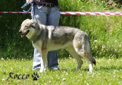 56_becky_z_kamenacek.jpg