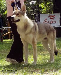 qeron3.jpg
