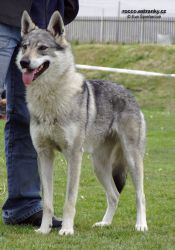 kiss_eden_severu03.jpg