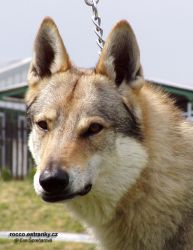 oliver_passo_del_lupo01.jpg