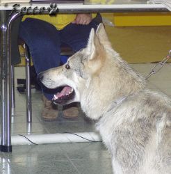 03_nebo_04.jpg