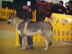 06_agathon02.jpg