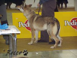 28_hron_radov-dvor01.jpg