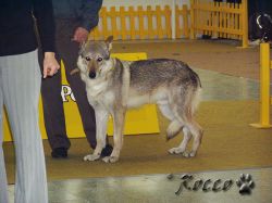 28_hron_radov-dvor02.jpg