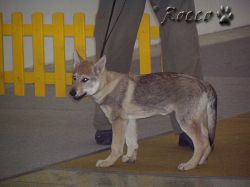 38_helena_oskar_dora01.jpg