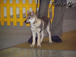 38_helena_oskar_dora02.jpg