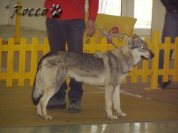 47_ajda_kalinovska_svorka.jpg