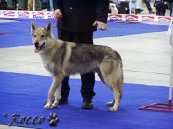 blade_z_maleho_raje02.jpg