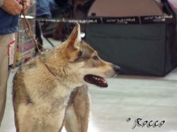 02_akar02.jpg
