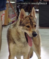 02_akar03.jpg