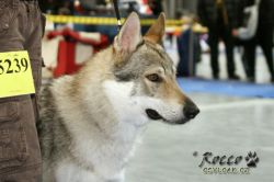 IMG_1613.jpg