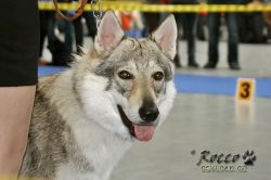 IMG_1615.jpg